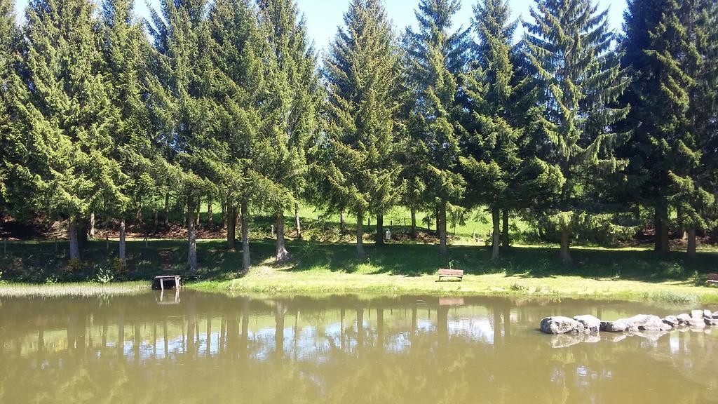 Hotel Camping De Flechat Orcival Exterior foto