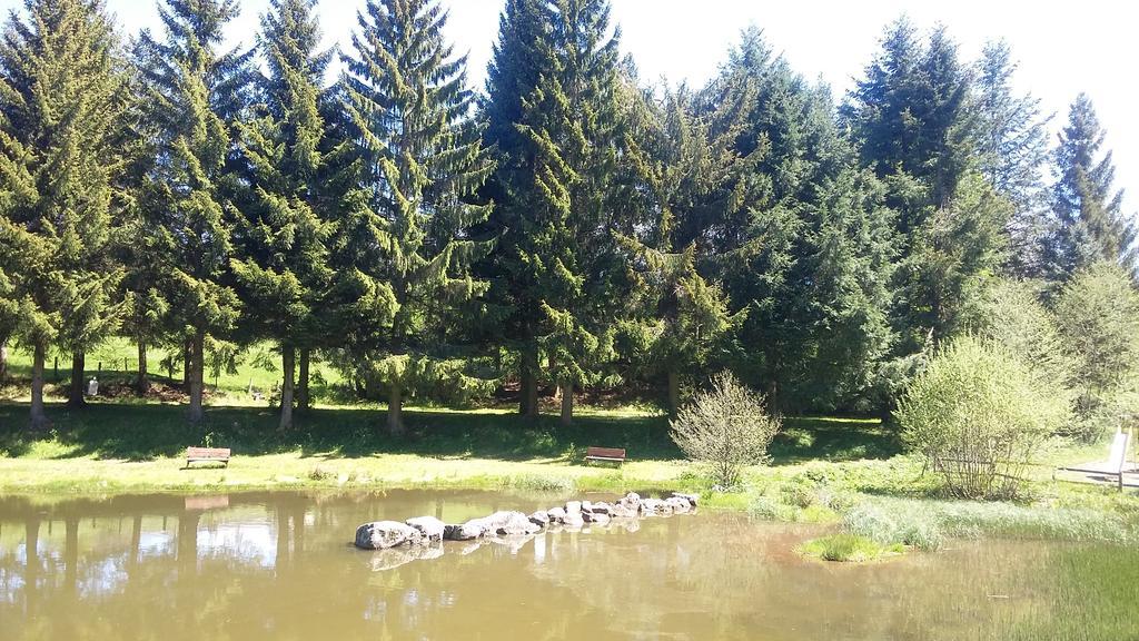 Hotel Camping De Flechat Orcival Exterior foto